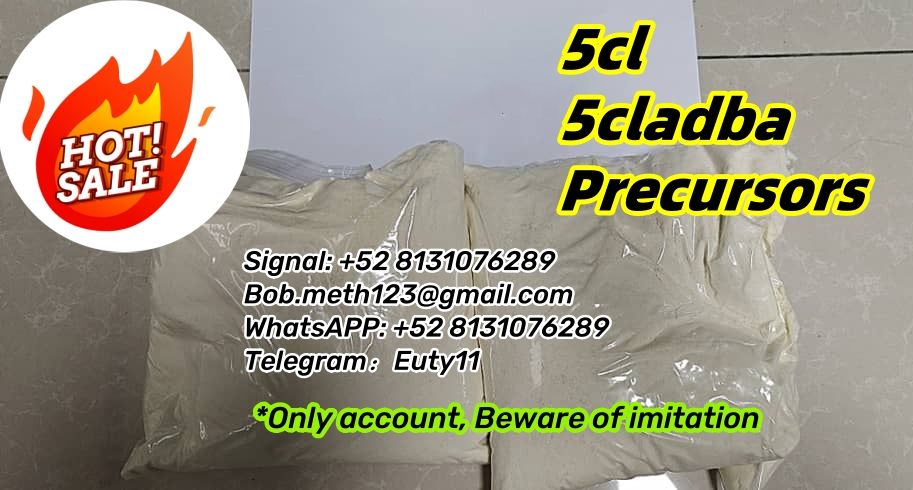 Strong 5cladba 5CL powder K2 5fadb 5FMDMB-2201 synthetic spice FUBIMINA adbb JWH-210 4F-ADB MDMB-BUTINACA MDMB-4en-PINACA sgt-78 AB-PINACA ADB-BUTINACA adbb MDMB-FUBICA kush to UK USA