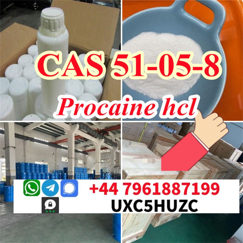 Procaine hydrochloride powder CAS 51-05-8 Procaine hydrochloride price