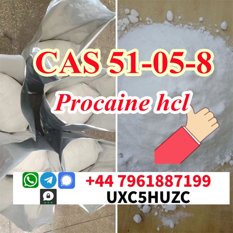 Procaine hydrochloride powder CAS 51-05-8 Procaine hydrochloride price