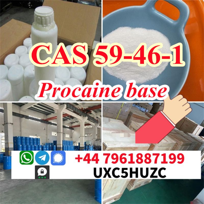 Procaine base 65% extraction cas 59-46-1 powder Novocain Chinese supplier