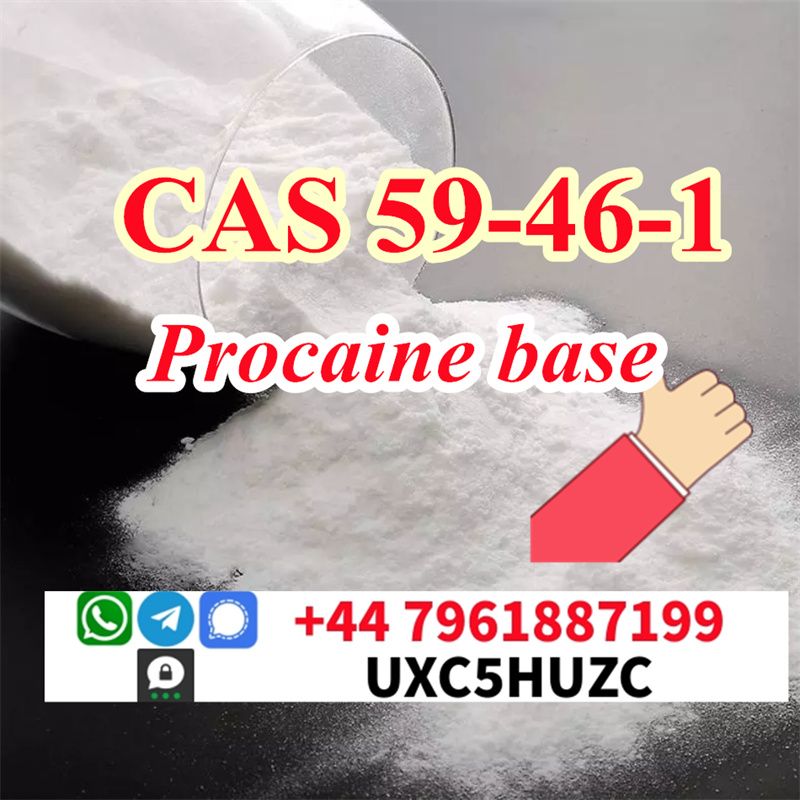 Procaine base 65% extraction cas 59-46-1 powder Novocain Chinese supplier