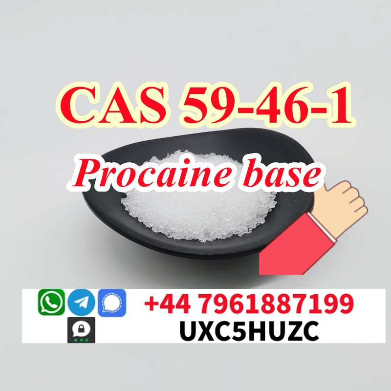 Procaine base 65% extraction cas 59-46-1 powder Novocain Chinese supplier