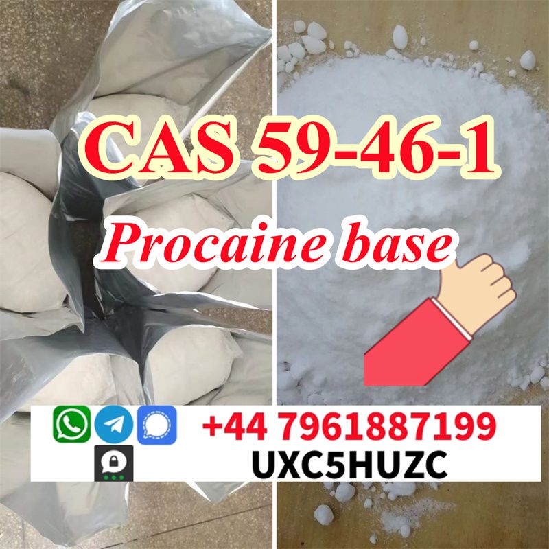 Procaine base 65% extraction cas 59-46-1 powder Novocain Chinese supplier