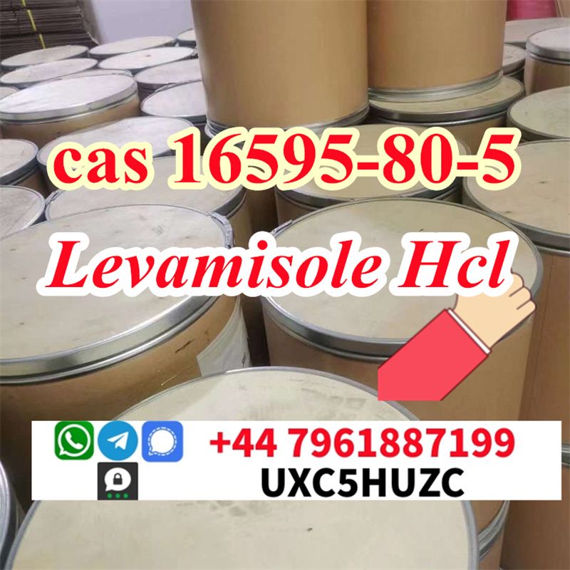 CAS 16595-80-5 Levamisole hydrochloride provide Sample 99% Purity