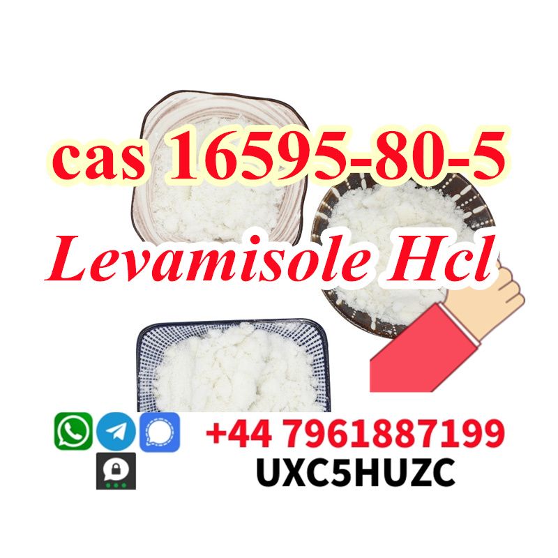 CAS 16595-80-5 Levamisole hydrochloride provide Sample 99% Purity