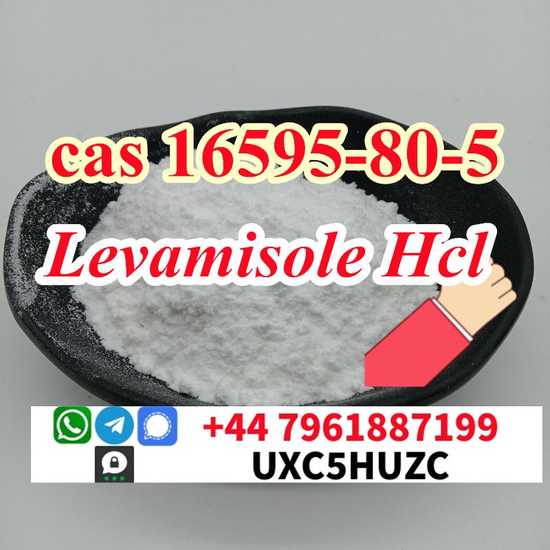 CAS 16595-80-5 Levamisole hydrochloride provide Sample 99% Purity