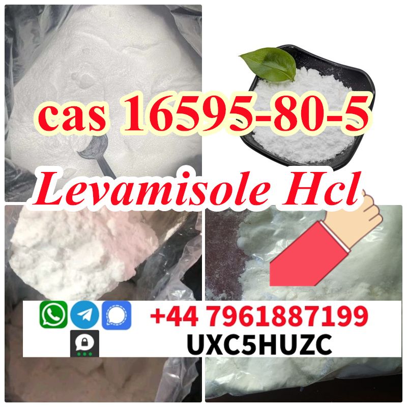 CAS 16595-80-5 Levamisole hydrochloride provide Sample 99% Purity