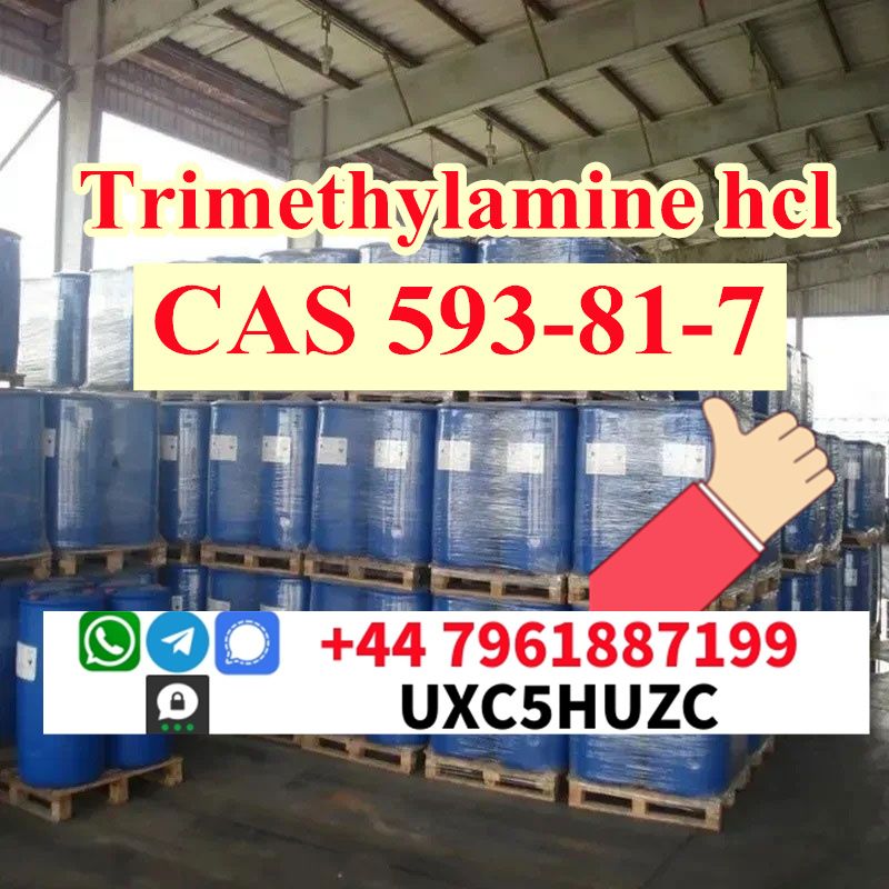 How to buy Trimethylamine hydrochloride cas 593-81-7 in russia