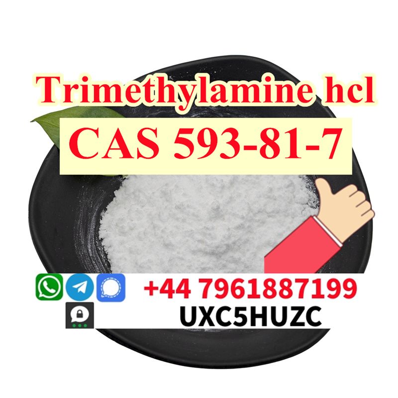 How to buy Trimethylamine hydrochloride cas 593-81-7 in russia