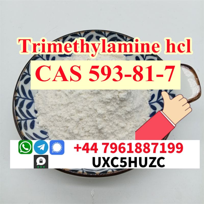 How to buy Trimethylamine hydrochloride cas 593-81-7 in russia