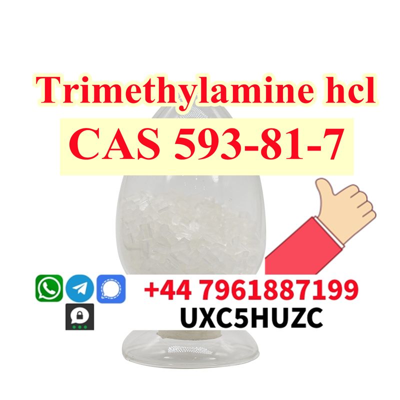 How to buy Trimethylamine hydrochloride cas 593-81-7 in russia