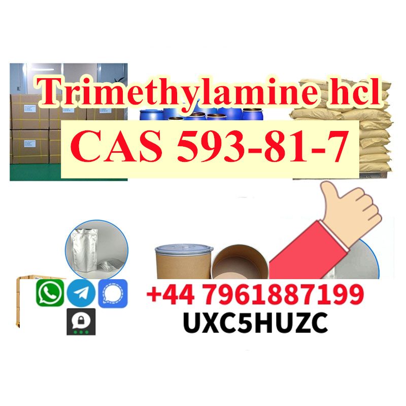 How to buy Trimethylamine hydrochloride cas 593-81-7 in russia