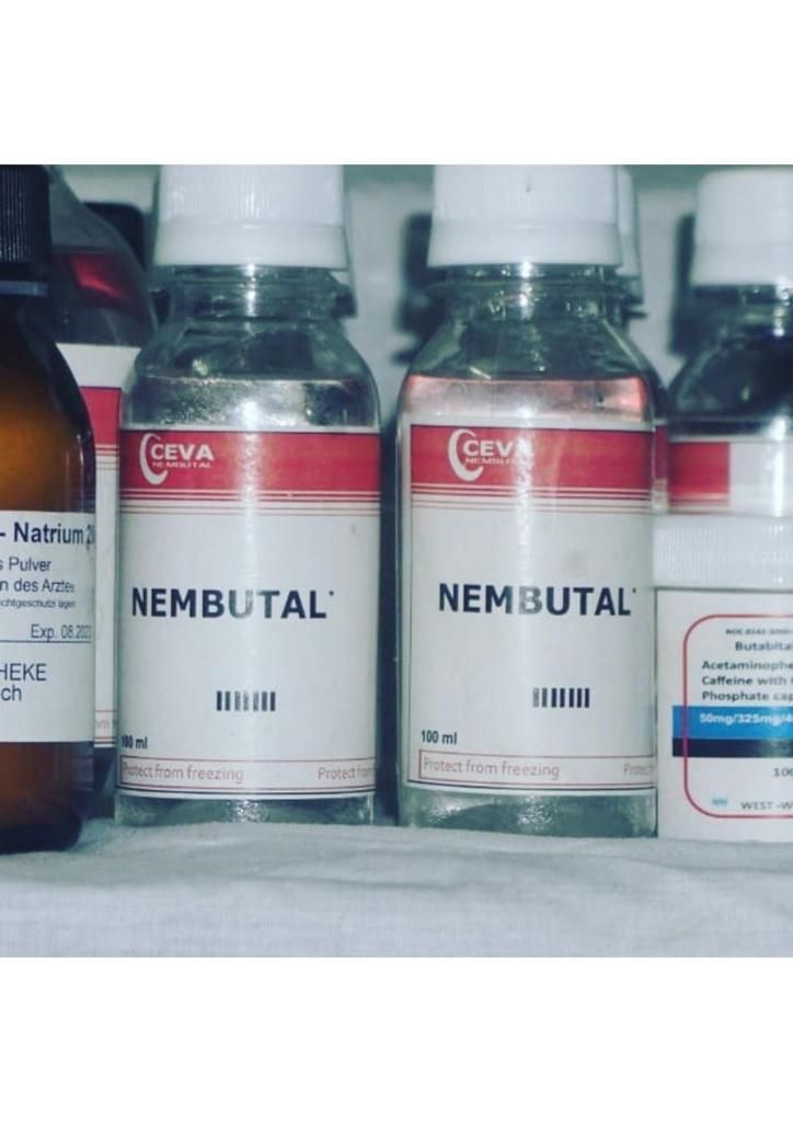  BUY NEMBUTAL ONLINE ,BUY PENTOBARBITAL SODIUM, BUY INJECTABLE NEMBUTAL,BUY NEMBUTAL ONLINE.