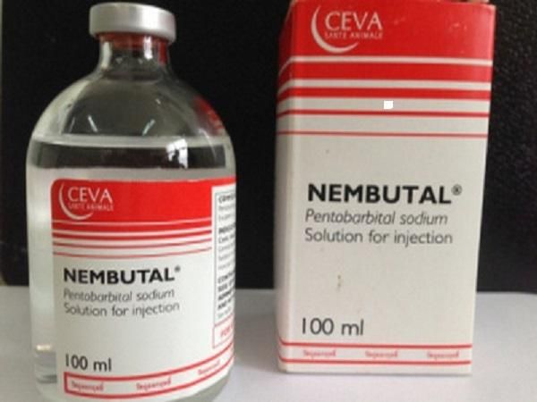  BUY NEMBUTAL ONLINE ,BUY PENTOBARBITAL SODIUM, BUY INJECTABLE NEMBUTAL,BUY NEMBUTAL ONLINE.