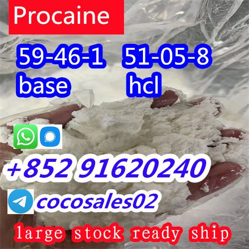 selling Procaine base CAS 59-46-1 /51-05-8 / procaine hcl and base sale Holland