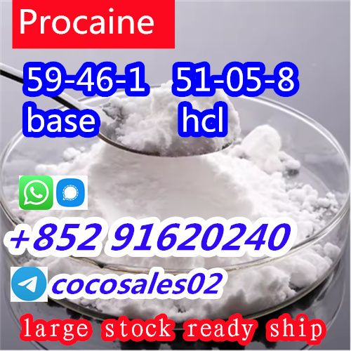 selling Procaine base CAS 59-46-1 /51-05-8 / procaine hcl and base sale Holland