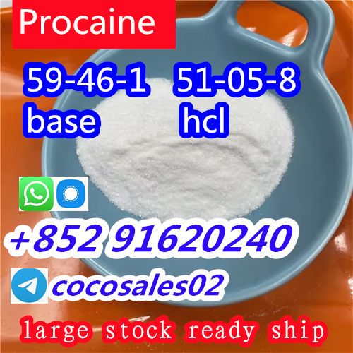 selling Procaine base CAS 59-46-1 /51-05-8 / procaine hcl and base sale Holland