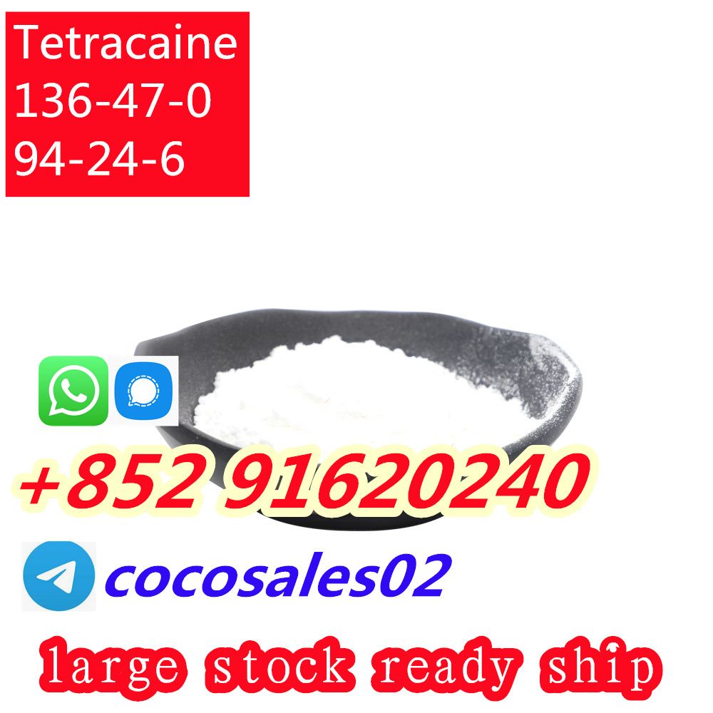 Factory supply Tetracaine hydrochloride cas 136-47-0/ CAS 94-24-6 Tetracaine