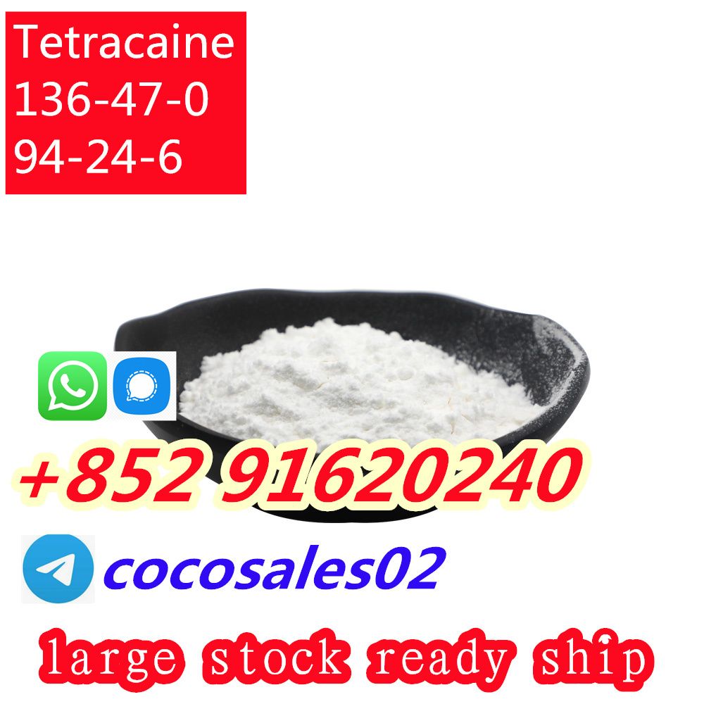 Factory supply Tetracaine hydrochloride cas 136-47-0/ CAS 94-24-6 Tetracaine