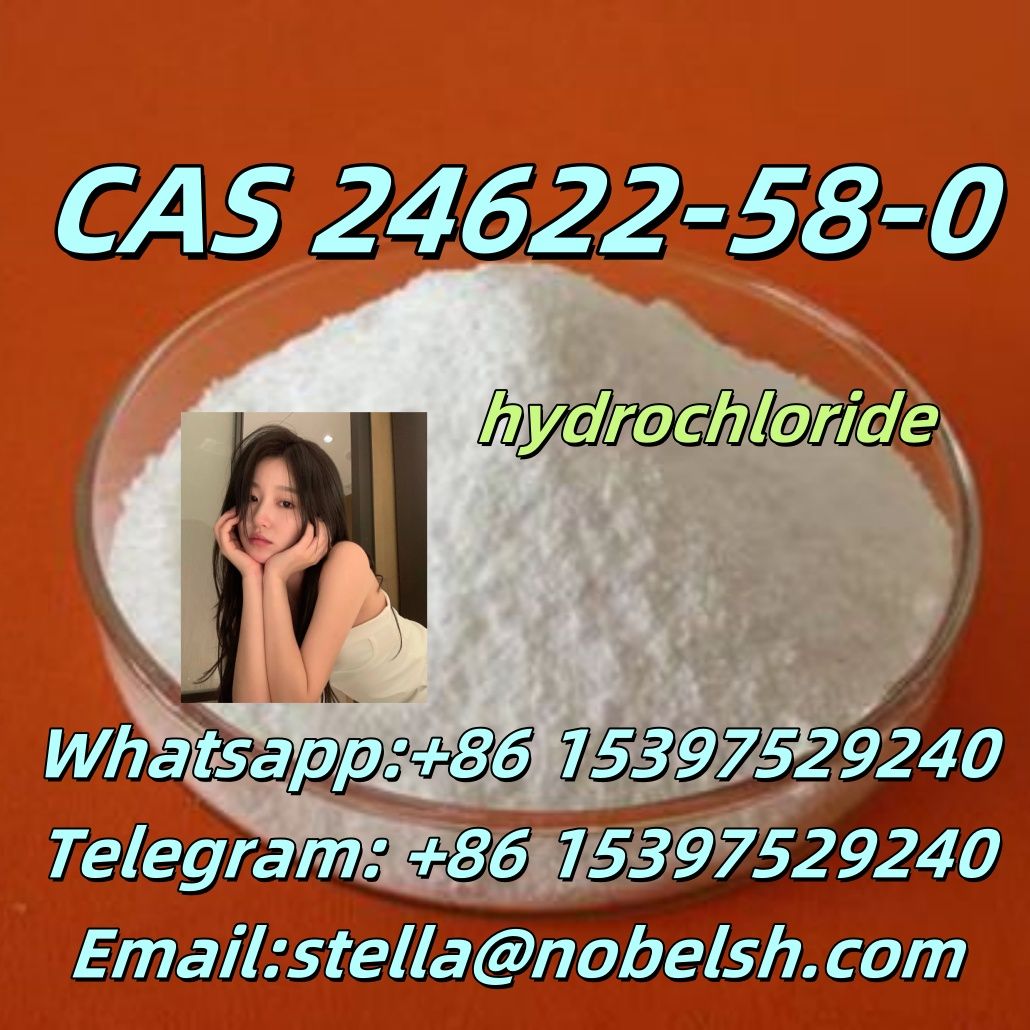 2.CAS 24622-58-0   3,4-Methylenedioxy-α-Pyrrolidinoisohexanophenone (hydrochloride) 