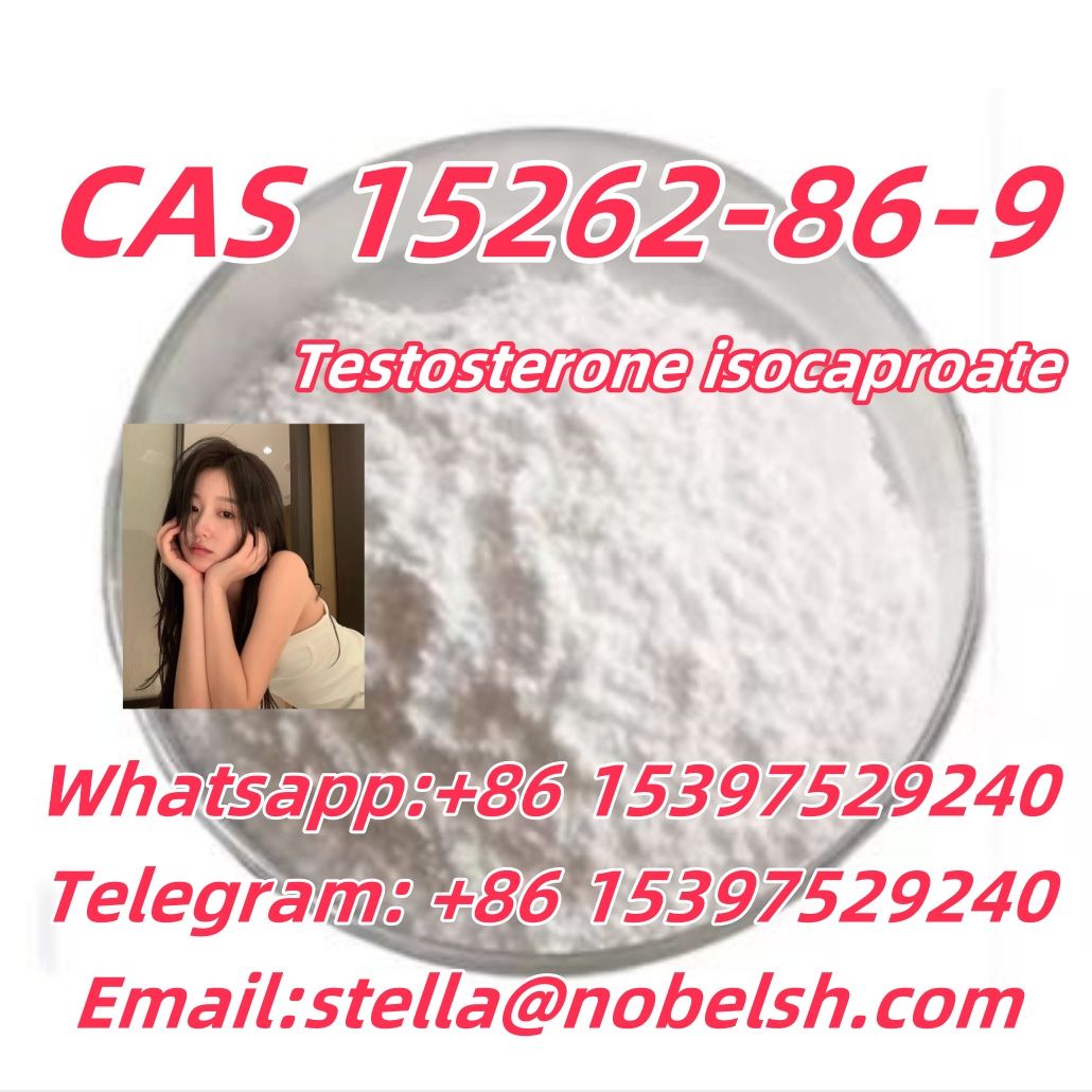 CAS 15262-86-9  Testosterone isocaproate