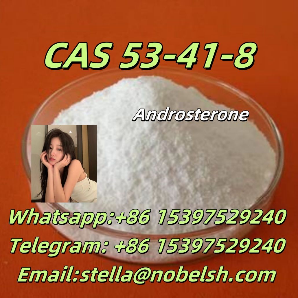 CAS 53-41-8  Androsterone