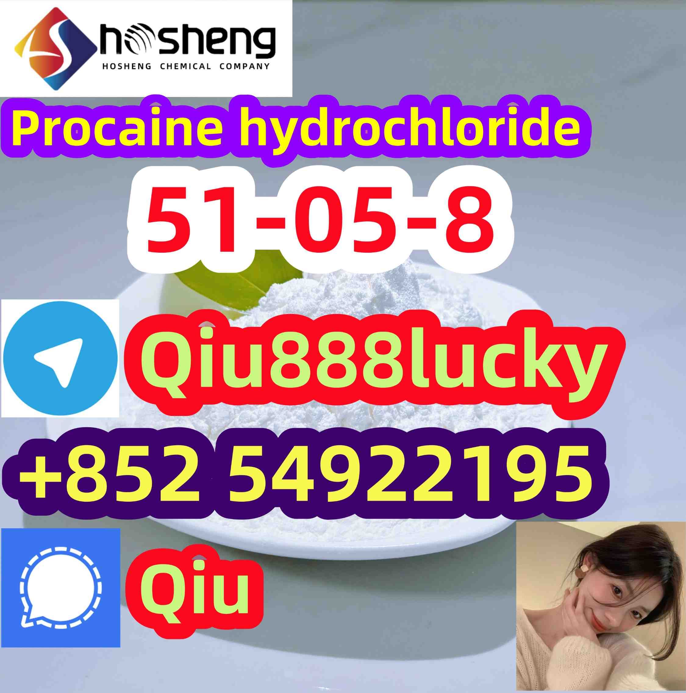 51-05-8 Procaine hydrochloride