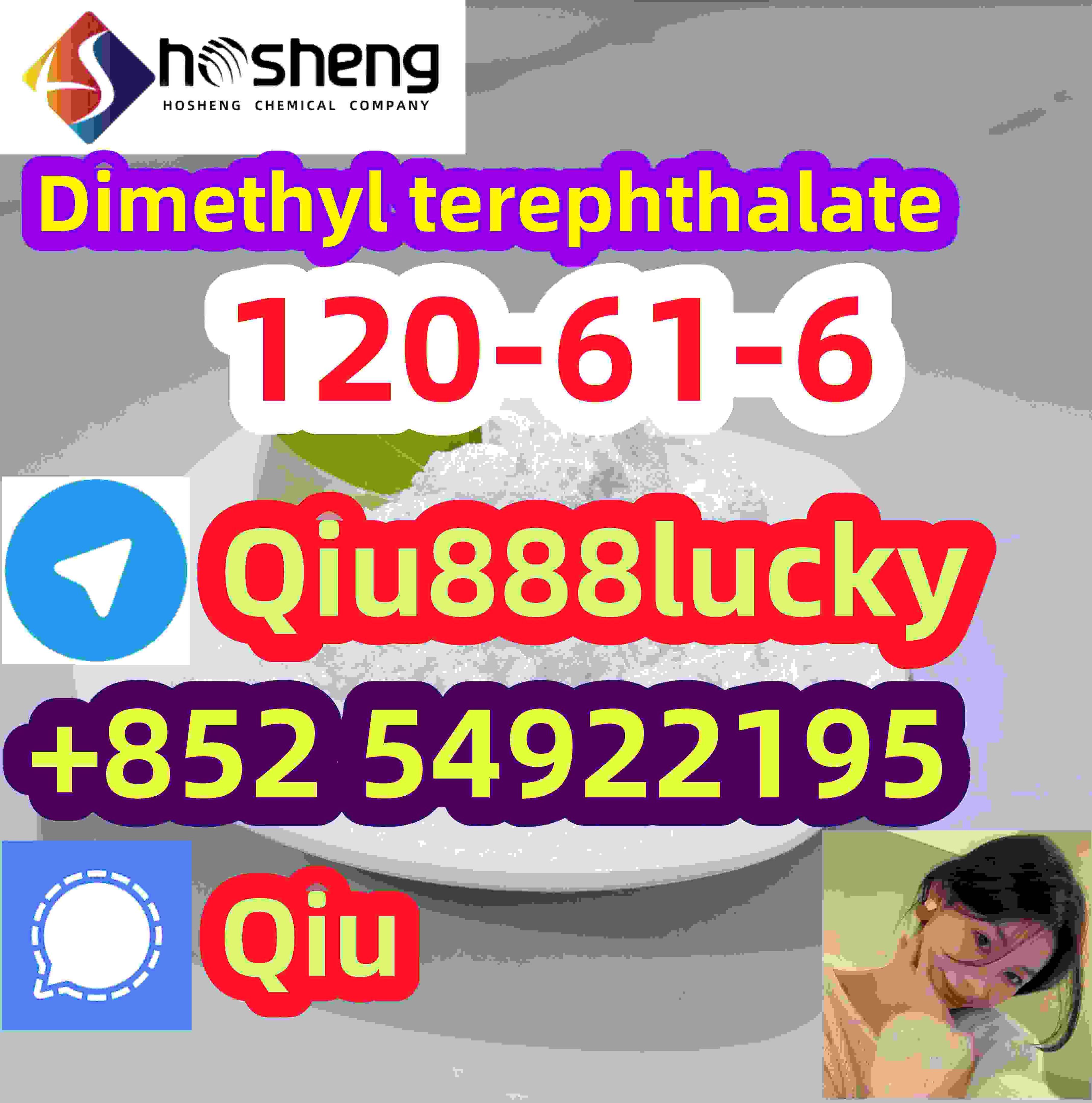 120-61-6 Dimethyl terephthalate