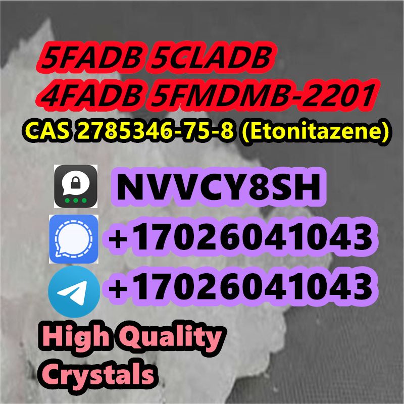 16 Years Factory Direct Supply CAS:71368-80-4	Bromazolam