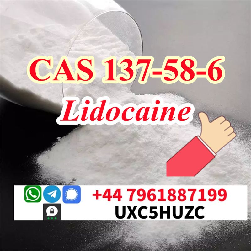 Lidocaine base analytical standard 137-58-6