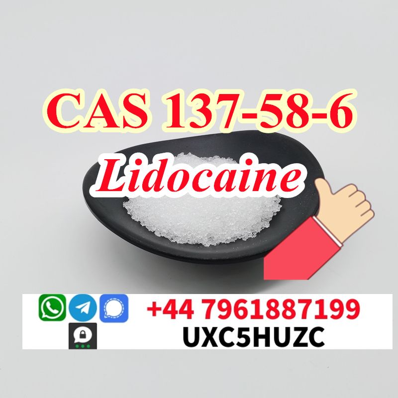 Lidocaine base analytical standard 137-58-6