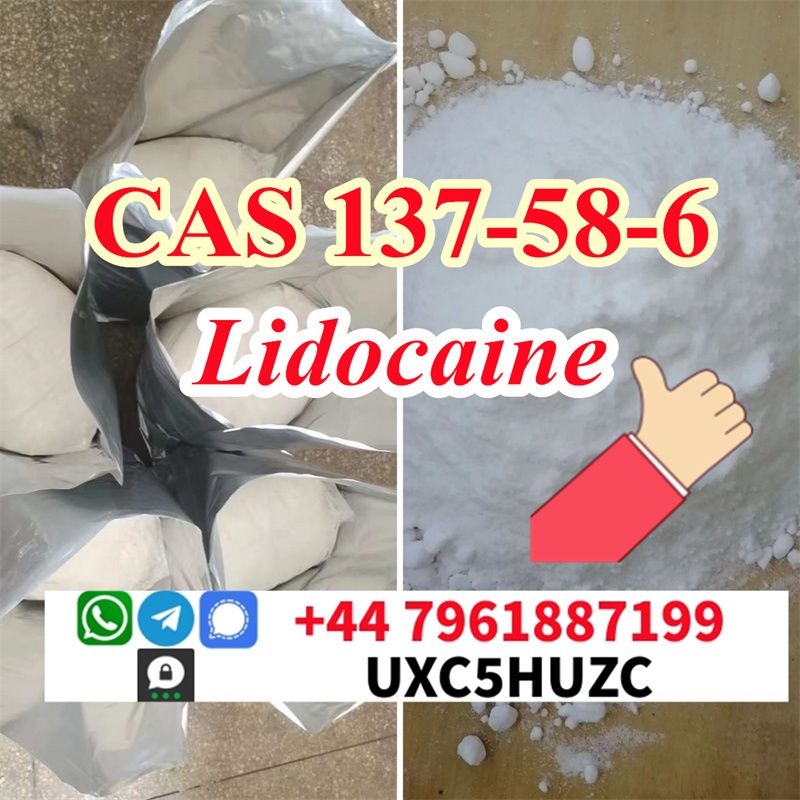 Lidocaine base analytical standard 137-58-6