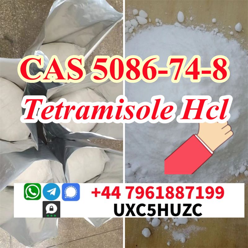 cas 5086-74-8 Tetramisole hcl Safe Delivery Factory Price