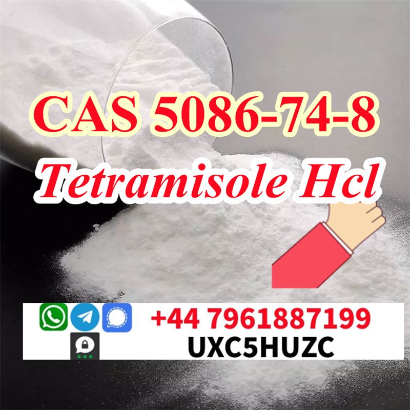 cas 5086-74-8 Tetramisole hcl Safe Delivery Factory Price