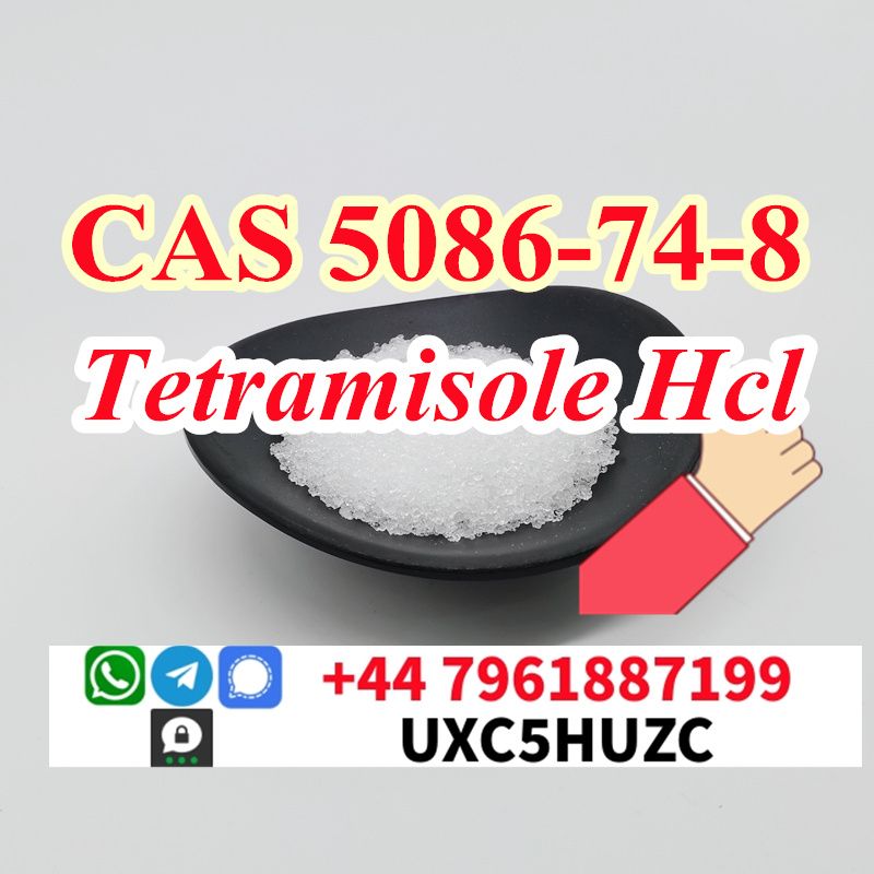 cas 5086-74-8 Tetramisole hcl Safe Delivery Factory Price