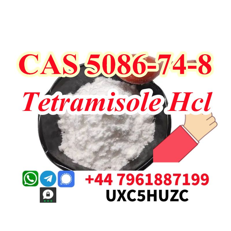 cas 5086-74-8 Tetramisole hcl Safe Delivery Factory Price