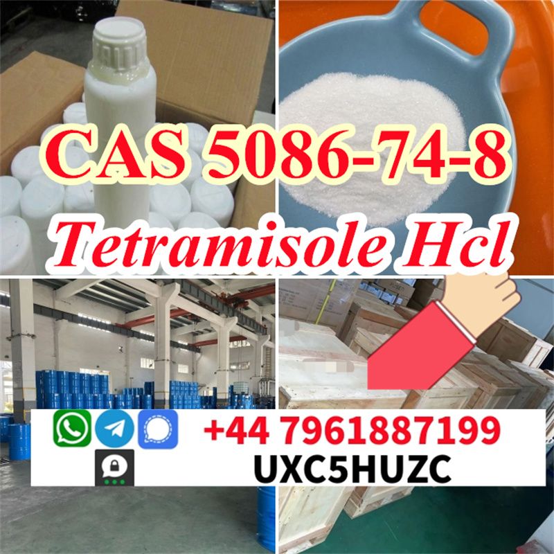 cas 5086-74-8 Tetramisole hcl Safe Delivery Factory Price