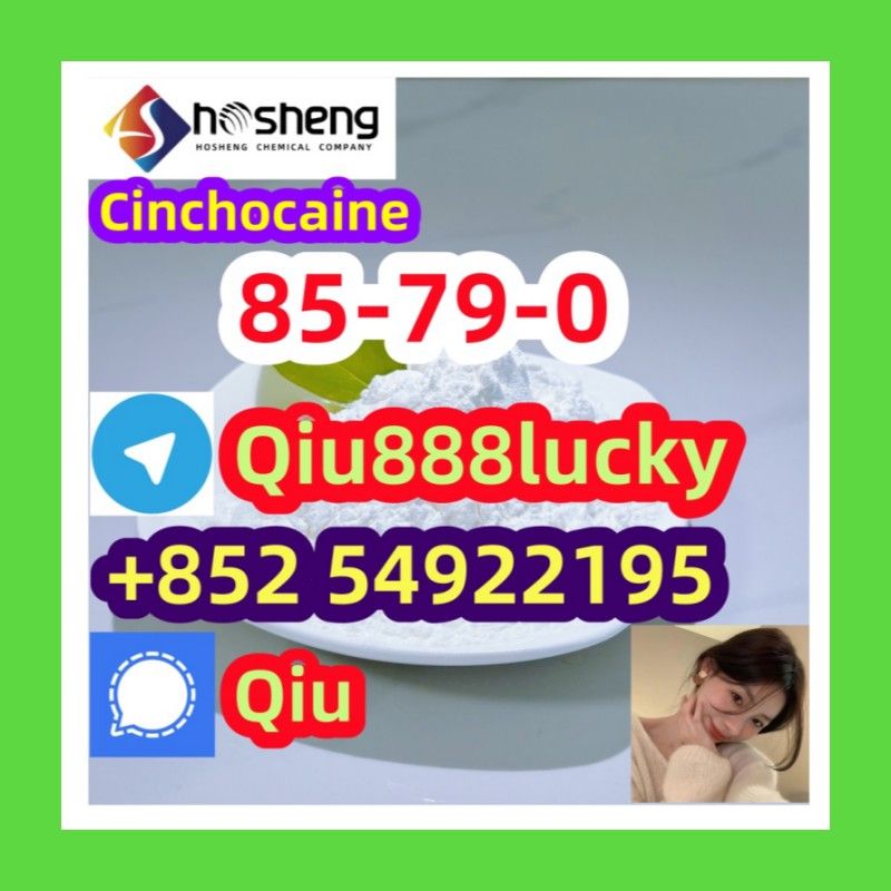 85-79-0 Cinchocaine