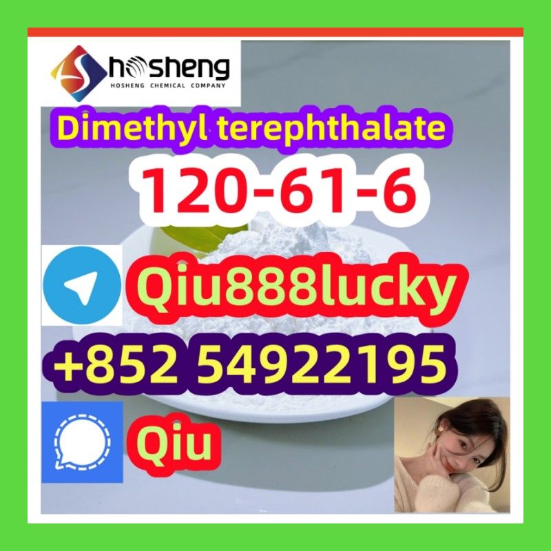 120-61-6 Dimethyl terephthalate