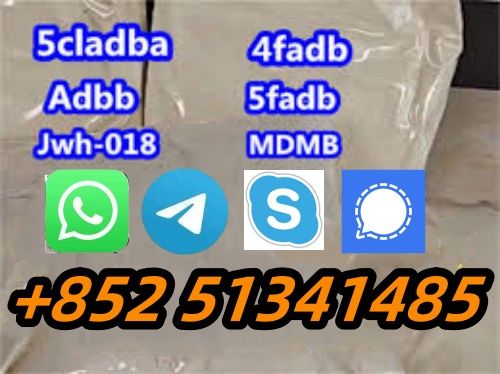 5clabd 5fadba  hot sale