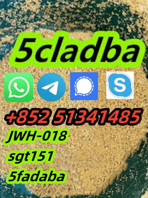 5clabd 5fadba  hot sale