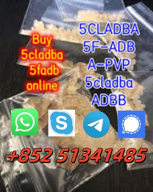 5clabd 5fadba  hot sale