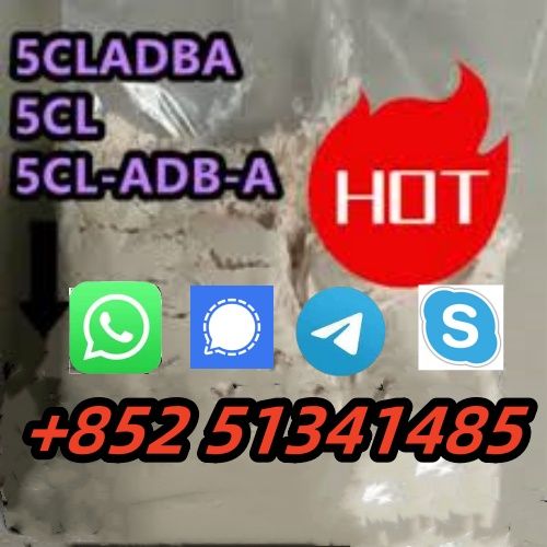 5clabd 5fadba  hot sale