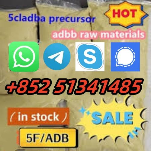 5clabd 5fadba  hot sale