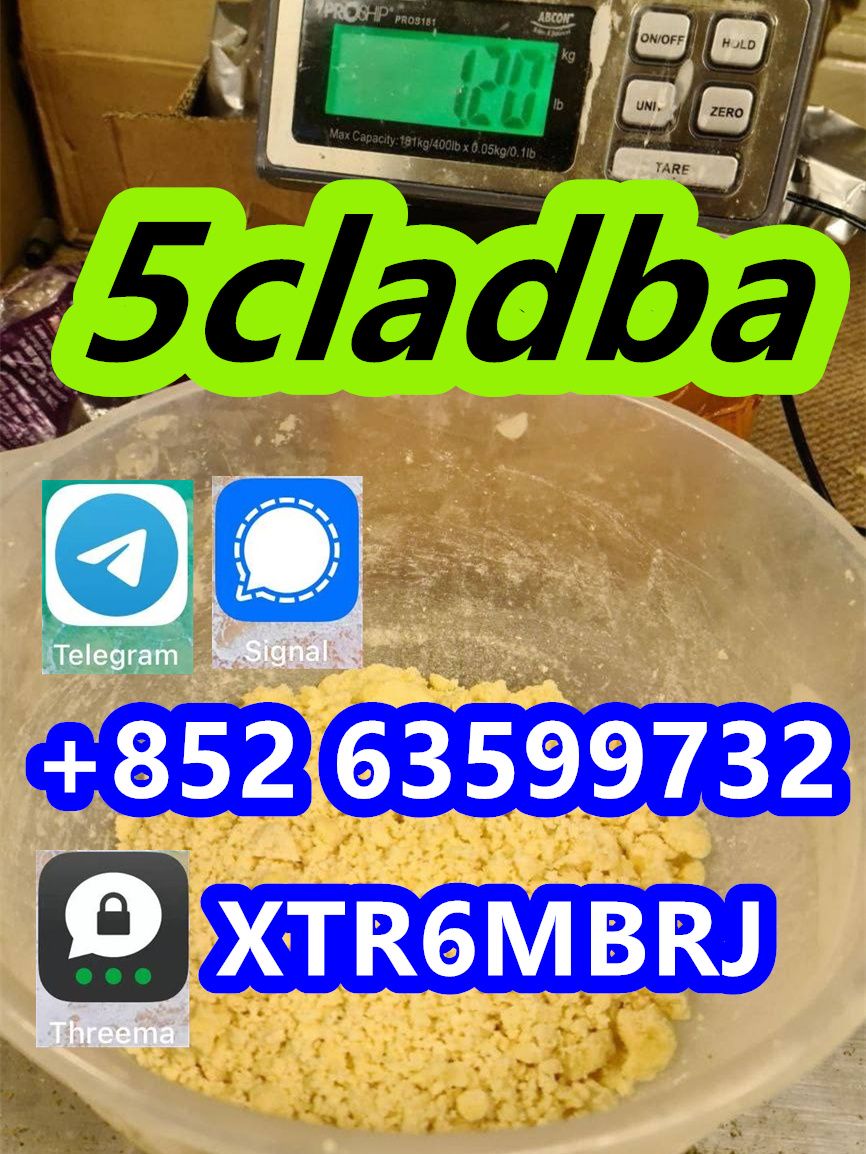 Strongest 5cladba raw material 5CL-ADB-A precursor powder and liquid