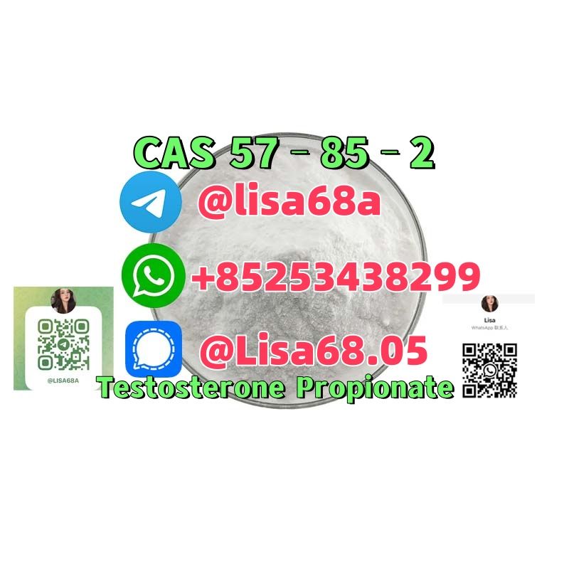 CAS 57–85–2 Testosterone Propionate C22H32O3