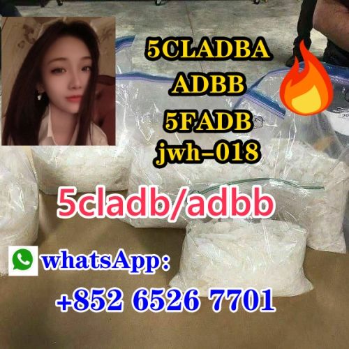  5F-ADB ADBB 5cladb precursor   4FADB 6Cladba A-PVP 5cl rwa materials  K2 MDMA Shipping 