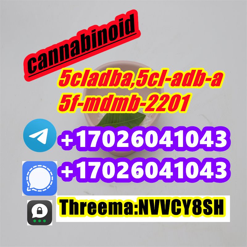 5-CL-ADB  A-D-BB  5-F-ADBEthylone BK-EDBP A-pvp  TH-PVP  4f-php