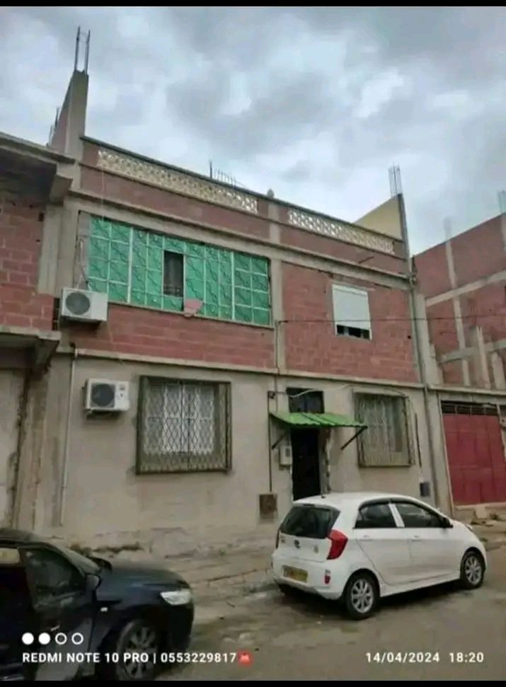بيع فوليتف عين النحاس الخروب 